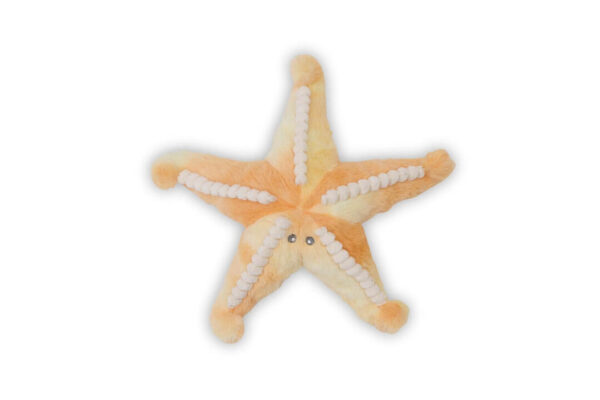 Plush Toy - Sunny the Starfish
