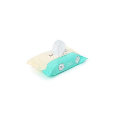 Eco Travel Water Wipes
