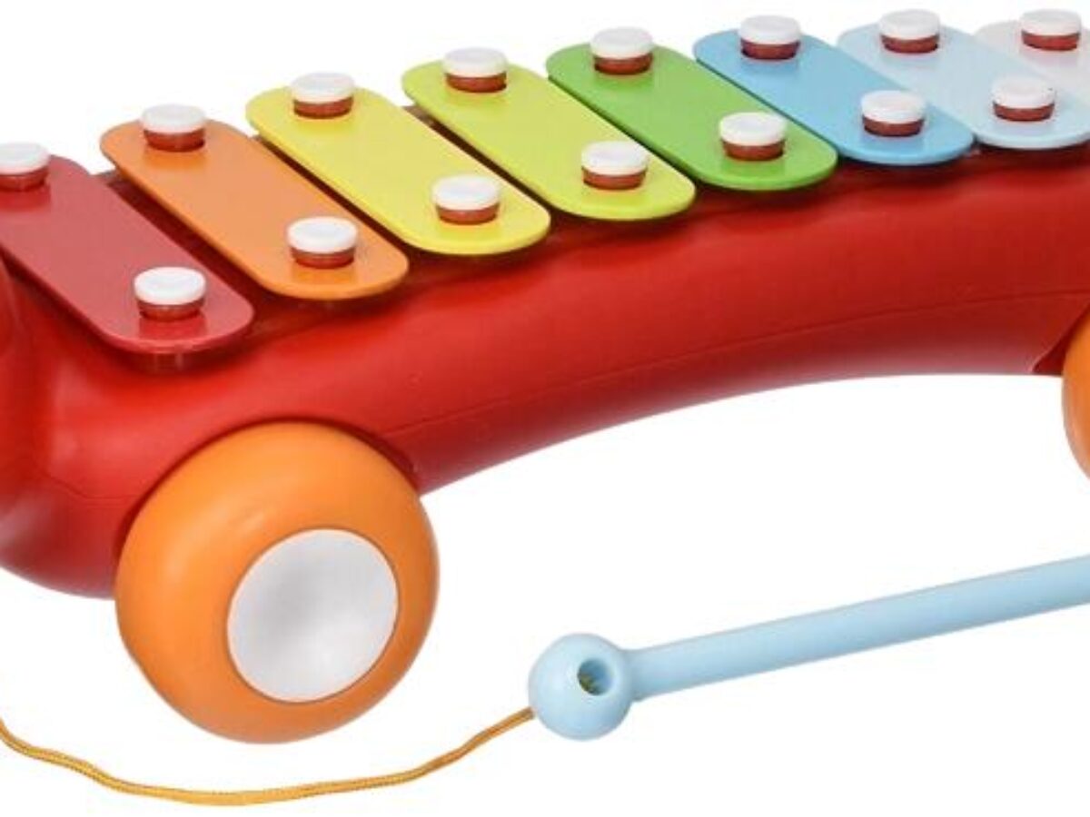 Explore More Fox Xylophone Juna Bear