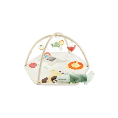 Geometric Wonders Activity Gym