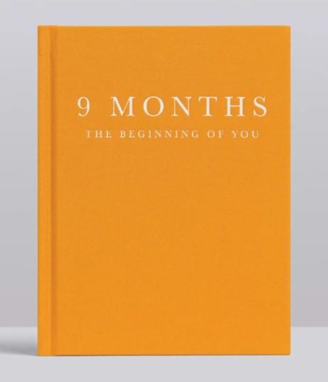 9 Months Pregnancy Journal