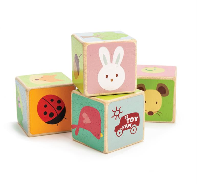 Le Toy Van Petilou Little Leaf Blocks