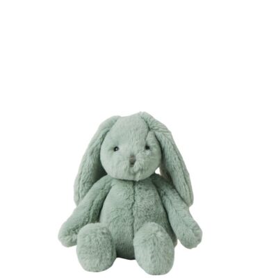 Jiggle & Giggle Small Green Bunny