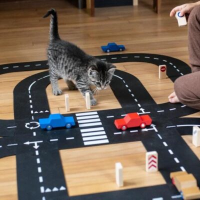 King Of The Road Car Edition