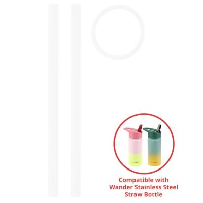 Skip Hop Wander Stainless Steel Water Bottle Extra Straws 2-Pack